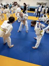 Judo Teplice 7.2.